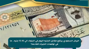 الريال السعودي يرتفع مقابل الجنيه اليوم في البنوك إلى 12.92 جنيه.. ما هي توقعات الخبراء القادمة؟